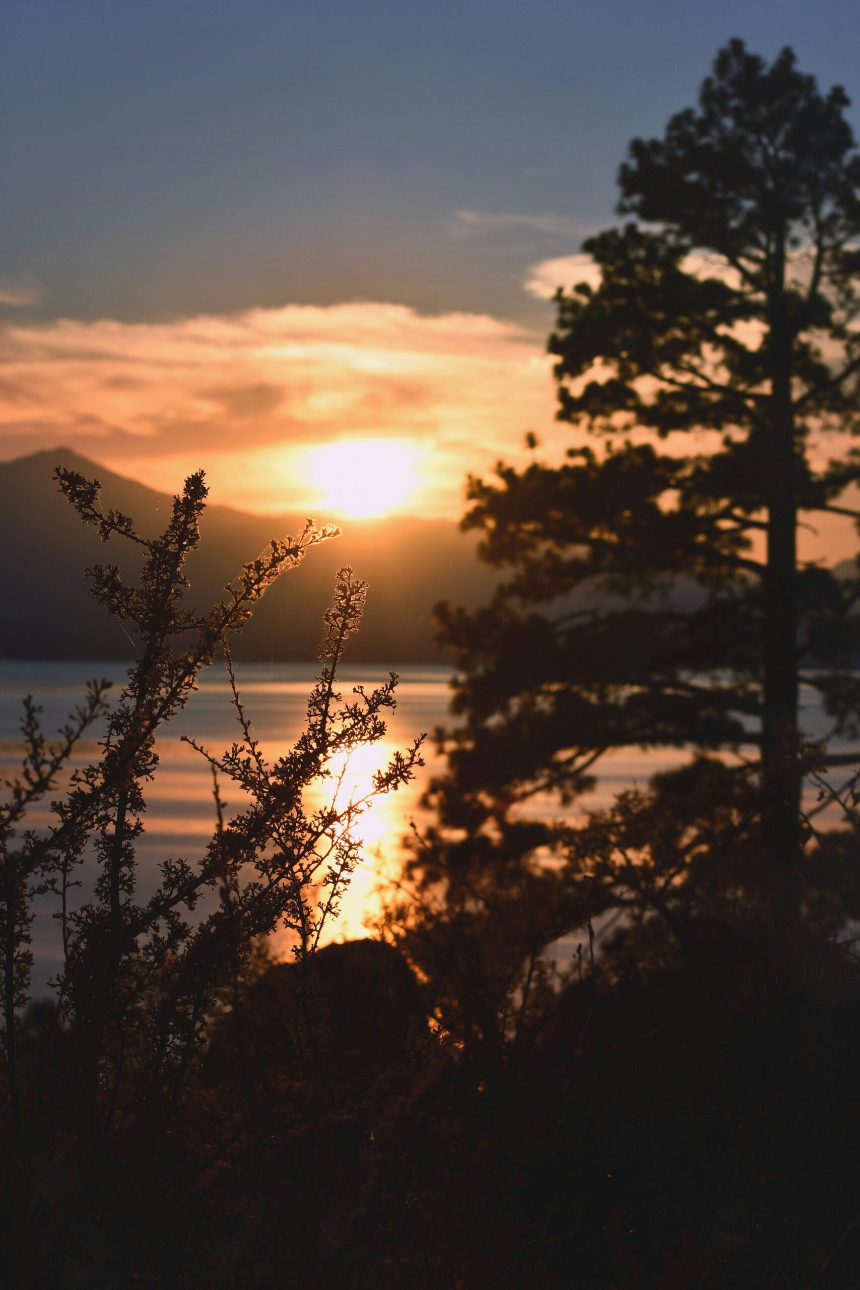 suhas-yelluru-ctl1pebJ3MY-unsplash